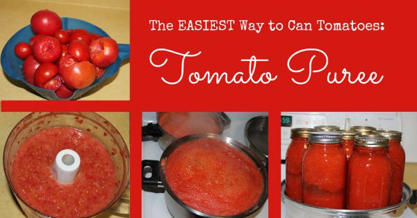 🍅The Best Way to Can Tomatoes: Tomato Puree 🍅 - Six Figures Under
