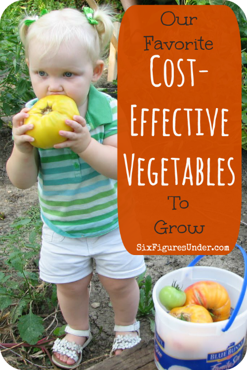 Our Favorite Cost-Effective Vegetables To Grow - Six Figures Under